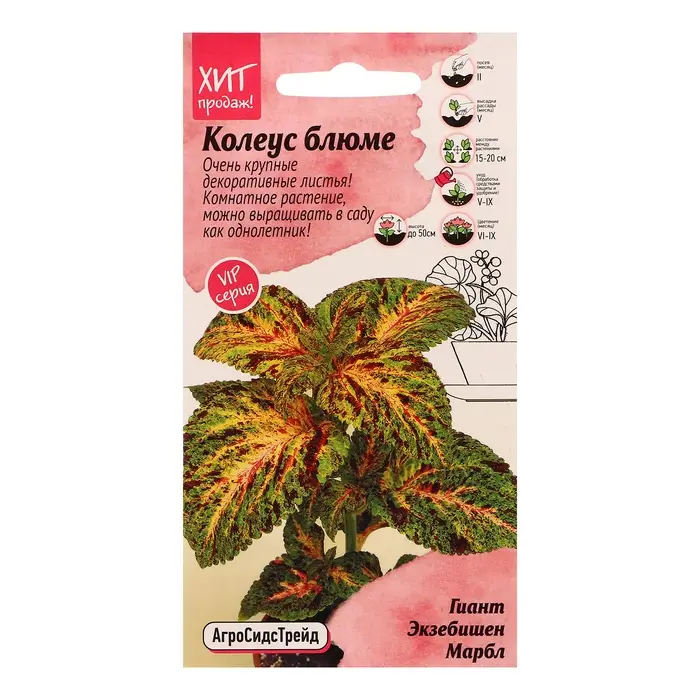 Семена цветов Колеус блюме "Гиант Экзебишен Марбл", 10 шт