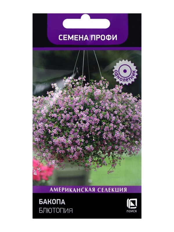 Семена цветов Бакопа Блютопия, 5шт