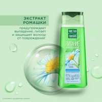 Шампунь для сухих и поврежденных волос Чистая линия с экстрактом ромашки, 250 мл