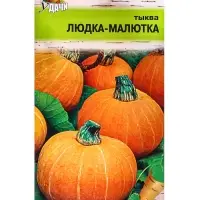 Семена Тыква "Людка-Малютка", 1 г