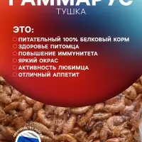 Корм для рыб и черепах "Пижон" гаммарус тушка, 15 г