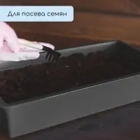 Ящик для рассады, 36 &times; 14 &times; 9 см, 3 л, пластик, чёрный