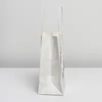 Пакет подарочный новогодний крафтовый &laquo;С Новым годом!&raquo;, 12 х 21 х 9 см