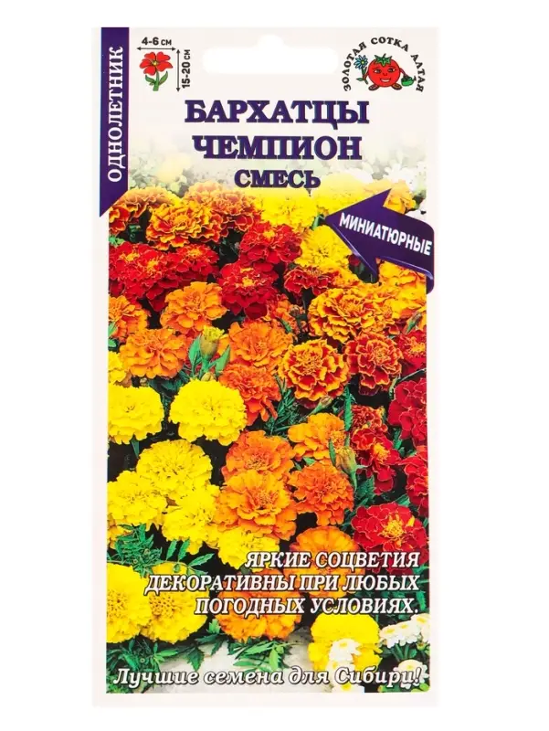 Семена Бархатцы Чемпион смесь /Сотка/ 0,2г/ 15-20см, 4-6с/*1200