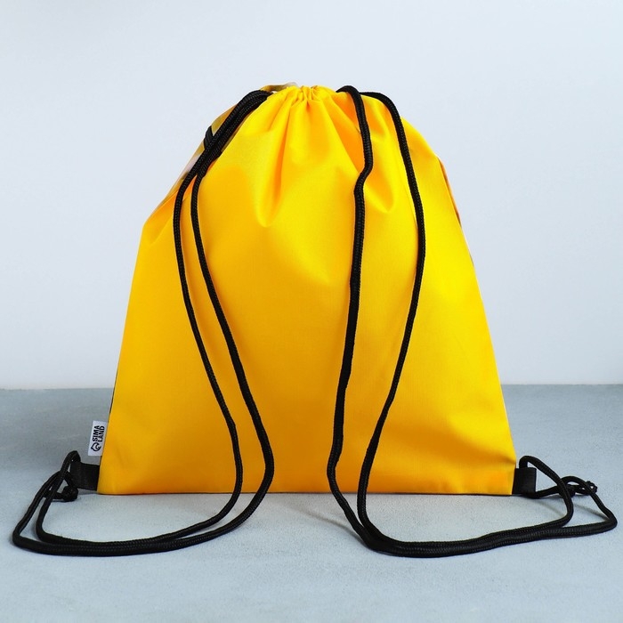 Мешок для обуви &laquo;Забавный корги&raquo; 2 секции, 30&times;40 см