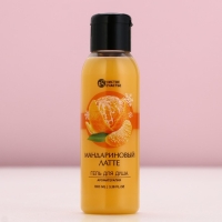 Гель для душа, 100 мл, аромат мандаринового латте, Новый Год