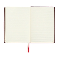 Ежедневник датированный 2024 A5 176 листов, deVENTE.Wild, твёрдая обложка из искусственной кожи, золотой срез, ляссе, кремовый блок 70 г/м2, бордовый