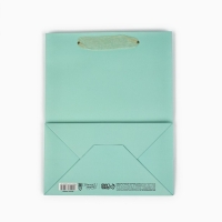 Пакет ламинированный вертикальный &laquo;Поздравляю&raquo;, MS 18 х 23 х 10 см