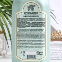 Шампунь Рецепты бабушки Агафьи &laquo;Кедрово-ромашковый&raquo;, ежедневный уход, 500 мл