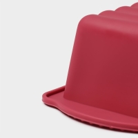 Форма для выпечки Доляна &laquo;Рулет&raquo;, силикон, 27&times;11&times;6 см, внутр.размер 22,5&times;9&times;6 см, цвет бордовый