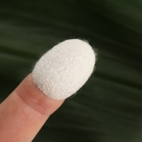 Набор спонжей для пилинга из тутового шелкопряда, 20 шт, цвет белый