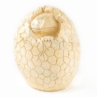 Набор для раскопок &laquo;Диномир&raquo;, гипсовое яйцо, инструменты, 5+