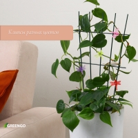 Клипса для растений &laquo;Стрекоза&raquo;, набор 10 шт., МИКС, Greengo