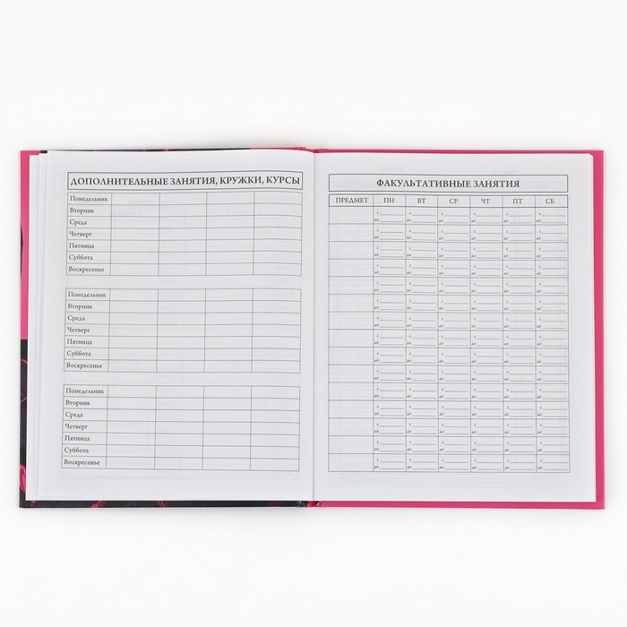 Дневник школьный 1-4 класса, в твердой обложке, 48 л &laquo;Аниме девушка&raquo;