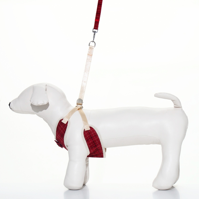 Комплект с мягкой шлейкой "Клетки", размер L, поводок 120 х 1,5 см, ОГ 42-76 см, красный
