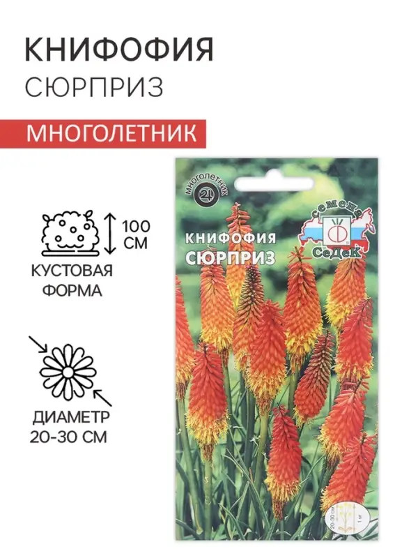 Семена цветов Книфофия "Сюрприз", Евро, 0,2 г