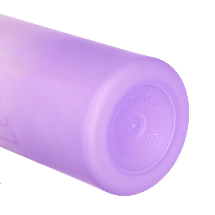 Бутылка для воды, напитков, спортивная, в школу, 500 мл, My bottle,19.5 х 6 см, фиолетовая