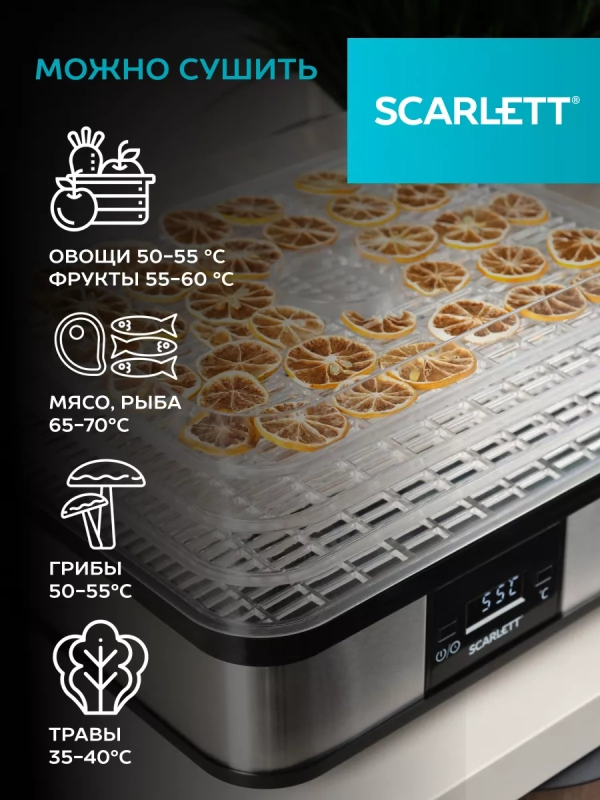 Сушилка для овощей и фруктов, дегидратор SC-FD421T19