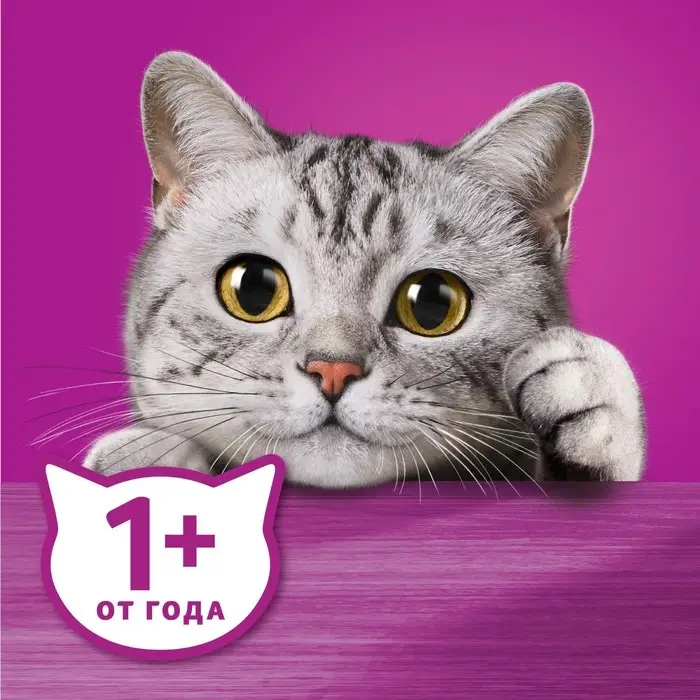 Влажный корм Whiskas для кошек, рагу с телятиной, 75 г