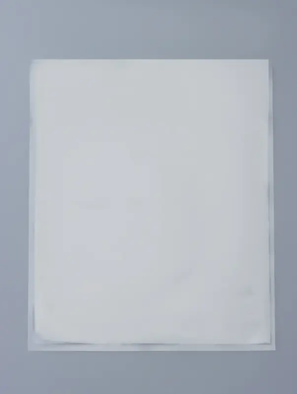 Набор пакетов для вакууматора 100 шт 25х30 см 65 мкм