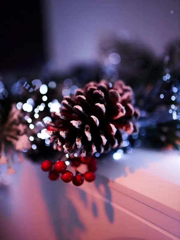 Хвойная гирлянда фиброоптическая &laquo;Заснеженная&raquo; 200 см, 8 режимов