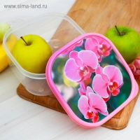 Ланч-бокс &laquo;Орхидеи&raquo;, 700 мл