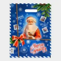 Пакет &laquo;Почта от деда мороза&raquo;, полиэтиленовый с вырубной ручкой, 30&times;40 см