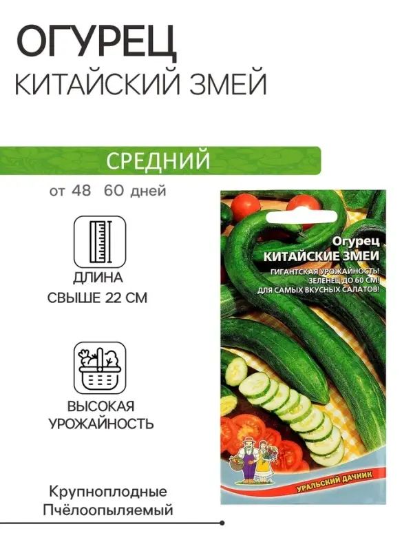 Семена Огурец "Китайский Змей", среднепоздний, пчелоопыляемый, 10  шт