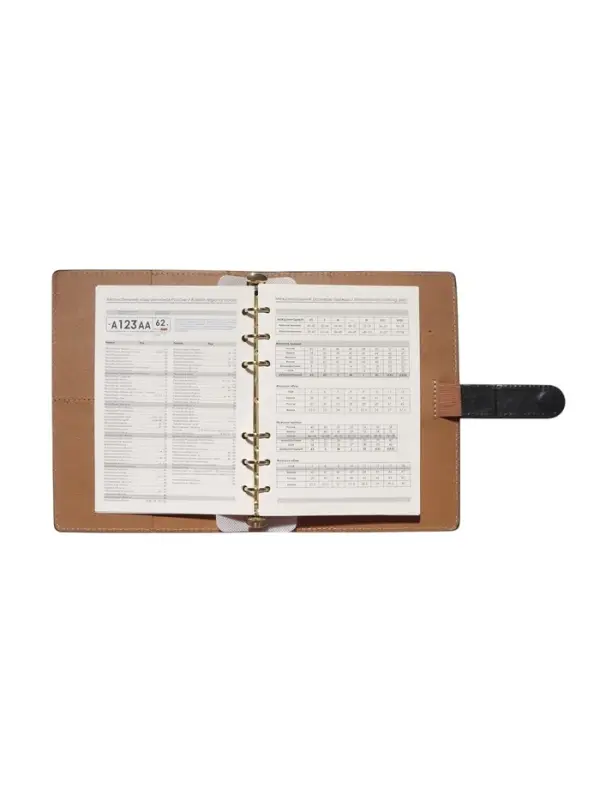 Органайзер на кольцах, C6, с хлястиком, 80л, линия, к/зам, Черный