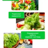 Семена Салат "Букет", 0,5 г