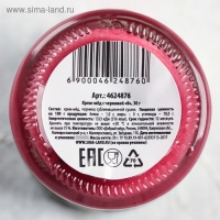 Мёд кремовый с черникой &laquo;8&raquo;, 30 г