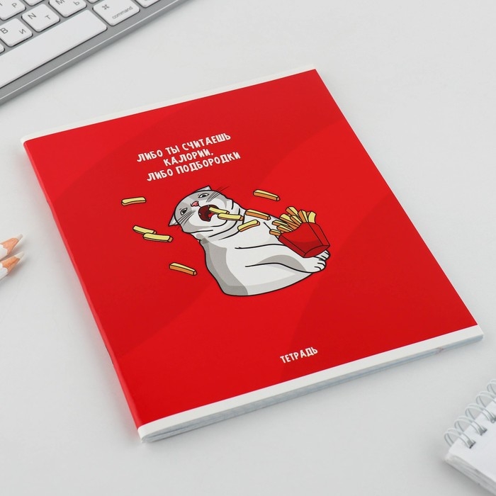 Тетрадь в клетку, 48 листов А5 на скрепке МИКС &laquo;1 сентября: Котики&raquo;, обложка мелованный картон 230 гр внутренний блок №1, белизна 96%