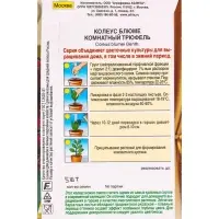 Семена цветов Колеус Комнатный трюфель Мн Зимний сад, Ц/П,5 шт.