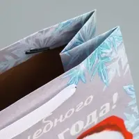 Пакет подарочный новогодний крафтовый &laquo;Мишутка&raquo;, ML 23 х 27 х 11.5 см