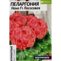 Семена цветов Пеларгония "Нано", ц/п,  "Лососевая", ц/п,  3 шт
