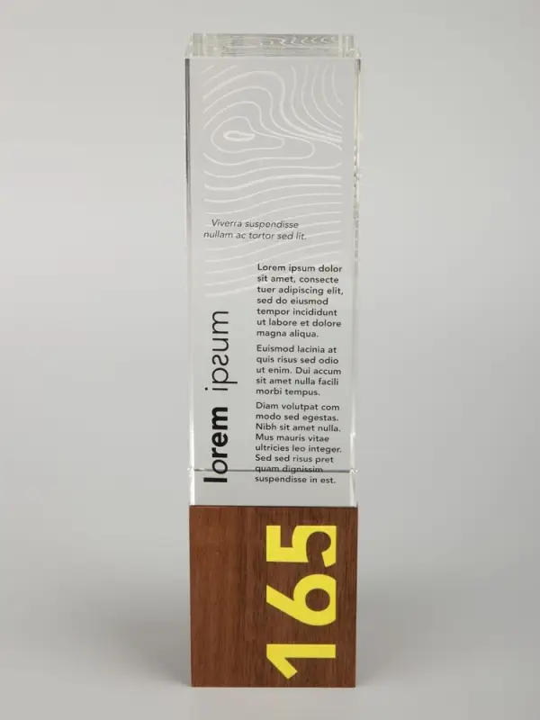 Стела Standpoint, ver.1