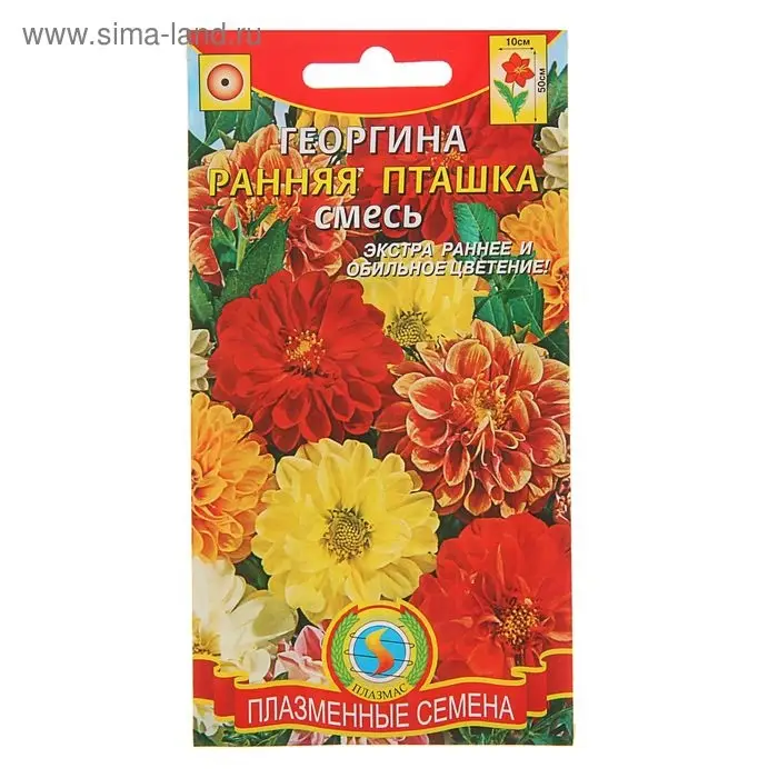 Семена Георгина "Ранняя пташка", смесь, 12 шт