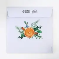 Ароматизатор для дома &laquo;Тепла и уюта&raquo;, аромат апельсин, 11 х 11 см