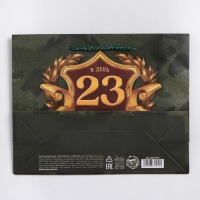 Пакет подарочный ламинированный горизонтальный, упаковка, &laquo;С 23 февраля&raquo;, MS 23 х 18 х 8 см