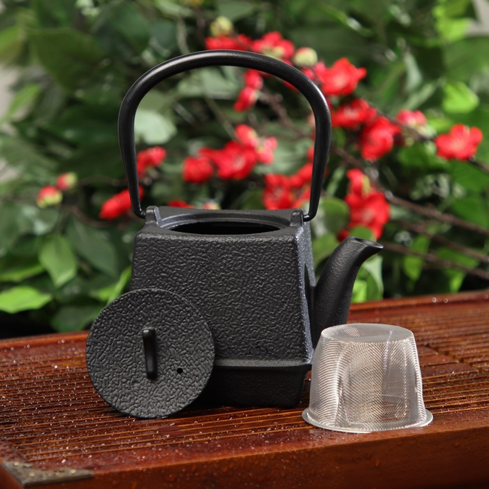 Чайник для плиты Доляна &laquo;Бокей. Этно&raquo;, 700 мл, с ситом, чугун, с эмалированным покрытием, индукция, цвет чёрный