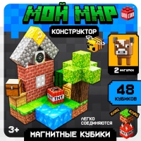 Конструктор UNICON &laquo;Магнитные кубики. Мой мир&raquo;, 2 фигурки, 48 деталей
