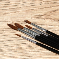 Кисть для рисования набор 5 шт. пони №1,2,3,4,5 &laquo;Ван Гог&raquo;