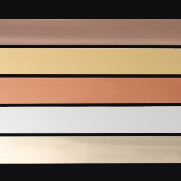 Набор фольги для ногтей &laquo;NUDE&raquo;, 4 &times; 40 см, 10 шт, в пластиковом органайзере