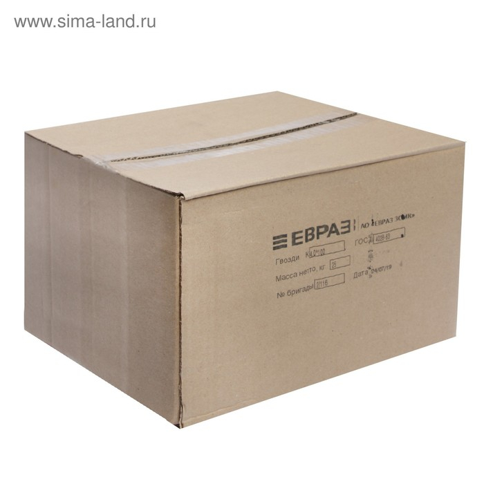 Гвозди ТУНДРА, строительные, без покрытия, 4х100 мм, 25 кг