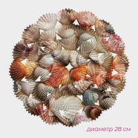 Решётка в раковину круглая Доляна &laquo;Ракушки&raquo;, 28&times;28 см