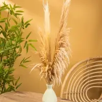 Ваза терракота &laquo;Эдесса&raquo;, 13&times;13&times;24 см, керамика