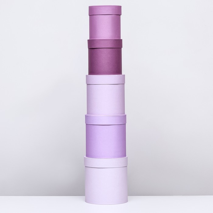 Набор круглых подарочных коробок 5 в 1 &laquo;Пудра&raquo;, 20 &times; 20 &times; 20‒13,5 &times; 13,5 &times; 13,5 см