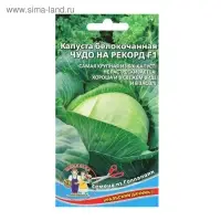 Семена Капусты белокочанной "Чудо на рекорд" F1 позднеспелый,крупнокочанный, 0,3 г