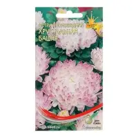 Семена цветов Астра пионовидная "Хрустальная Башня" Дом семян, О,  80 шт