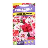 Семена цветов Гвоздика "Перистая", ц/п,  0,1 г